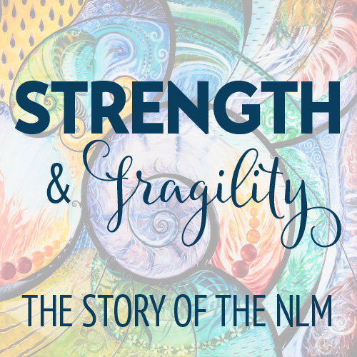 Strength and Fragility Logo